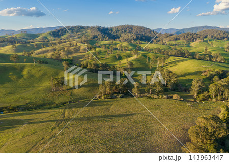 Aerial view across rolling green farmland with scattered trees, open paddocks and wooded hills beneath a blue sky in warm late afternoon light. 143963447