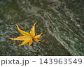 石の上の紅葉 143963549