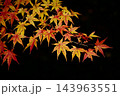赤く色づいた紅葉 143963551