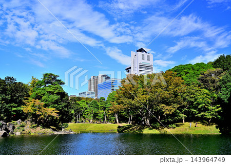 都立庭園　小石川後楽園から見る文京シビックセンター 143964749