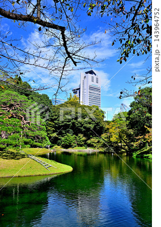 都立庭園　小石川後楽園から見る文京シビックセンター 143964752