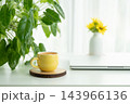 Orange juice in a yellow cup and yellow flower and philodendron plant 143966136