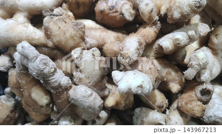 Raw ginger roots piled together in close up view Raw ginger roots piled together in close up view 143967213