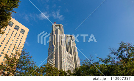 青空に映える東京都庁舎と新宿中央公園の木々・高層ビル群 143967357