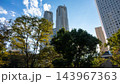 青空に映える東京都庁舎と新宿中央公園の木々・高層ビル群 143967363
