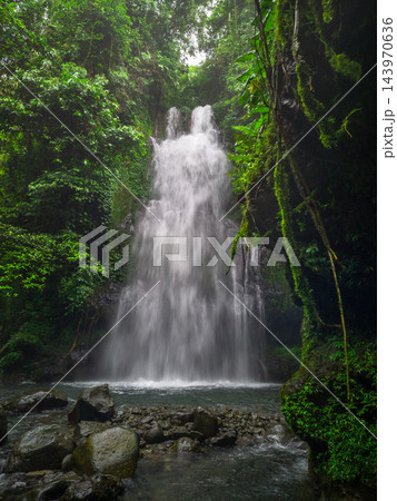 Beautiful tropical waterfall flowing through lush green cliffs covered with dense vegetation. Crystal clear water cascades into a natural stream surrounded by vibrant rainforest foliage, creating a 143970636