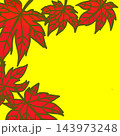 紅葉フチ　背景 143973248