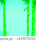 竹　背景 143973250