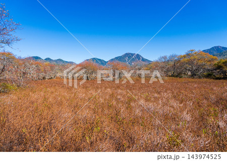 栃木県　奥日光　秋の戦場ヶ原 143974525