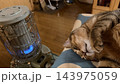 ログハウスのストーブで温まる猫 ログハウスのストーブで温まる猫 143975059