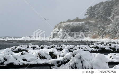 日本海・雪晴れの海岸 日本海・雪晴れの海岸 143975750
