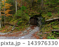 wood land closed cave interesting place autumn environment space 143976330