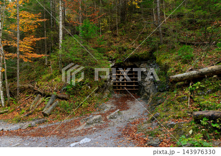 wood land closed cave interesting place autumn environment space 143976330