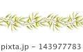 Watercolor olive seamless border with branches, ripe fruits and leaves isolated on white. Hand drawn botanical repeat drawing in pastel green colors and elegant style for organic plant oil designs 143977783