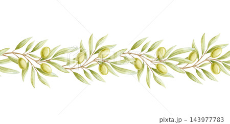Watercolor olive seamless border with branches, ripe fruits and leaves isolated on white. Hand drawn botanical repeat drawing in pastel green colors and elegant style for organic plant oil designs Watercolor olive seamless border with branches, ripe fruits and leaves isolated on white. Hand drawn botanical repeat drawing in pastel green colors and elegant style for organic plant oil designs 143977783