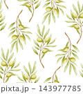 Hand drawn olive branches seamless pattern on white. Watercolor ripe fruits and leaves repeat background with Mediterranean botanical plant in pastel green color for organic oil designs 143977785