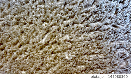 macro beige shag rug texture showing soft fluffy fibers for cozy wellness interior backgrounds in advertising and web design emphasizing sustainable comfort and tactile warmth 143980360