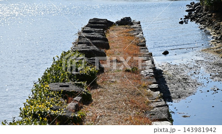 大村藩 お船蔵跡(長崎県大村市:玖島城の船蔵) 大村藩 お船蔵跡(長崎県大村市:玖島城の船蔵) 143981942