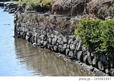 大村藩 お船蔵跡(長崎県大村市:玖島城の船蔵) 大村藩 お船蔵跡(長崎県大村市:玖島城の船蔵) 143981947