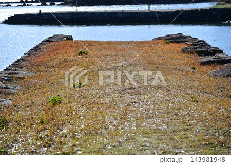 大村藩 お船蔵跡(長崎県大村市:玖島城の船蔵) 大村藩 お船蔵跡(長崎県大村市:玖島城の船蔵) 143981948
