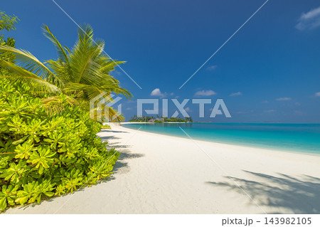 Picturesque lush green palm island powdery white shore vivid turquoise lagoon blue sky bright paradise. Family beach holiday summer fun. Sunny tropical island wallpaper 143982105