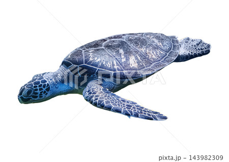 Blank sea turtle cutout mockup for modern environmental protection and eco branding design 143982309