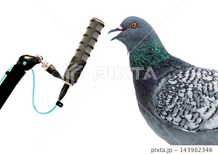 Singing dove at the microphone isolated on white background 143982346
