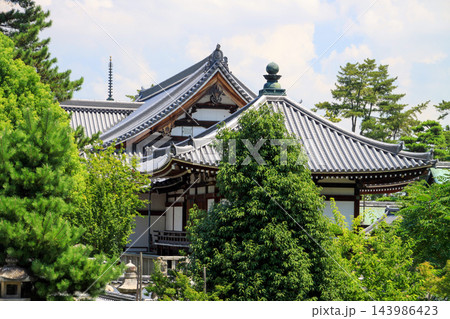善通寺 143986423