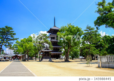 善通寺 143986445