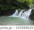 石空川渓谷の緑に囲まれた滝と美しい滝壺（山梨県北杜市） 143989620
