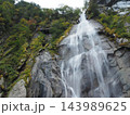 秋の岩壁を豪快に流れ落ちる北精進ヶ滝（山梨県北杜市） 143989625