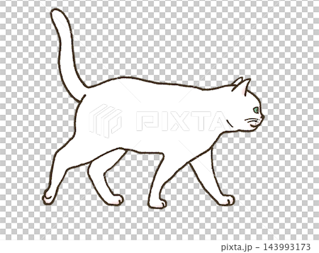 An illustration of a white cat walking with its tail held high. 143993173