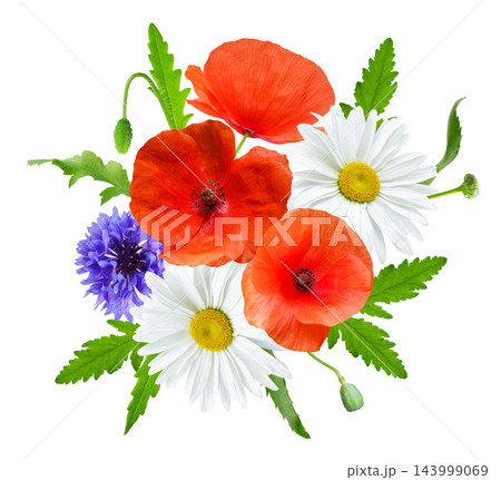 bouquet of colorful daisy, cornflower and red poppy flowers isolated on white background, top view bouquet of colorful daisy, cornflower and red poppy flowers isolated on white background, top view 143999069