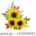 bouquet of blooming sunflowers isolated on white background 143999083