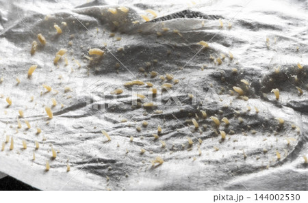 Macro view of extracted sebum and skin impurities visible on surface of used facial pore cleansing strip, showing cosmetic residue after hygiene routine removal for skin care 144002530