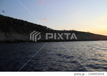 Rocky limestone coastline of small Adriatic island with seagulls colony at dusk Rocky limestone coastline of small Adriatic island with seagulls colony at dusk 144005034