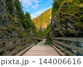 Wooden footbridge crossing a forested gorge beneath sunlit autumn mountain slopes 144006616
