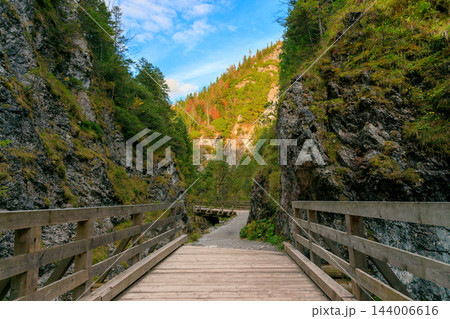 Wooden footbridge crossing a forested gorge beneath sunlit autumn mountain slopes 144006616