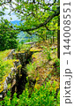 Rocky woodland landscape with dense green trees 144008551