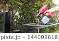 A hand holds a red-and-gray paint sprayer, applying black paint evenly onto the metal tubing of a shelving unit. The painting process takes place outdoors in a yard 144009618