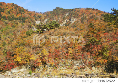 塩原の紅葉 144012522