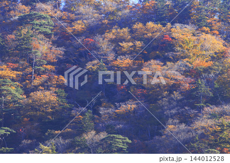 塩原の紅葉 144012528