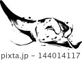 マンタ（エイ）の墨絵イラスト・アパレル＆海系ポスター向けデザイン素材 144014117