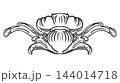 Horizontal hand drawing ornament design element vector illustration 144014718
