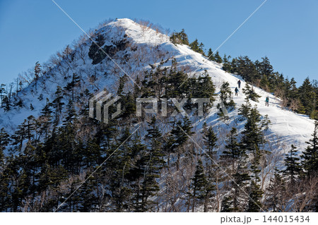 早春の四阿山山頂直下を行く登山者 早春の四阿山山頂直下を行く登山者 144015434