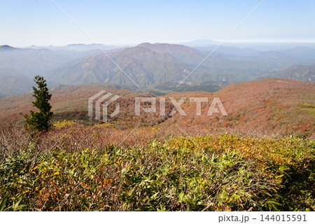 秋田県栗駒山 秣岳山頂直下から眺める高松岳と鳥海山 144015591