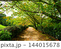 紅葉し始める木々と小道 144015678