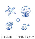 Seashells and starfish nautical line art set 144015896