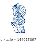 Seashell Collection with Tropical Beach Shells 144015897