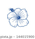 Hibiscus flower blue botanical line art 144015900
